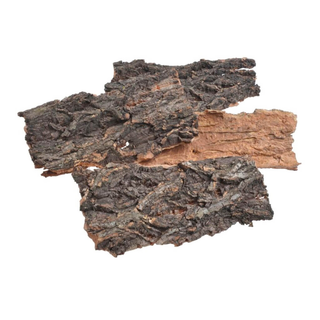 Dekorační kůra natur – přírodní dekorace, délka cca 18 cm